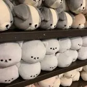 ともちんの画像