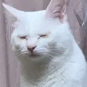 もふみん☆プロフ見てね☆の画像