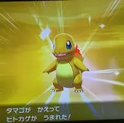 神様の画像
