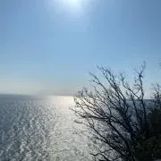 光shopの画像