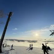 Tの画像