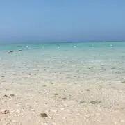 なににしよかな