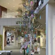 山田の画像