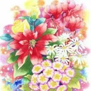 花の画像