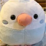 コガ太郎☆の画像