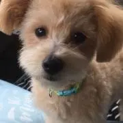 空プロフ必読！