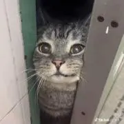 瑠の画像