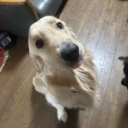 マナイnelly♥️