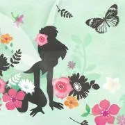 すずめの画像