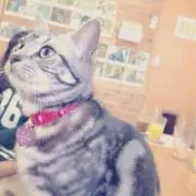 りゅーと