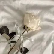 iの画像