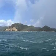 さおりん
