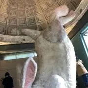jkの画像