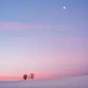 manaの画像