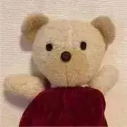 NOAの画像