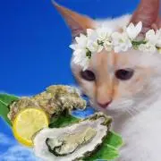 かきフライBBの画像