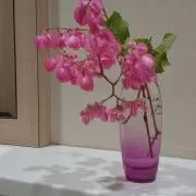 Longchampの画像
