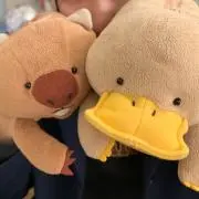 ゆい