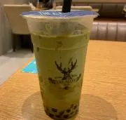 スティーブの画像