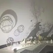 ミズキの画像