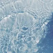 ささみの画像