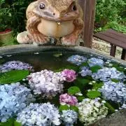 ここりん