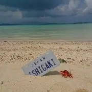 海の画像