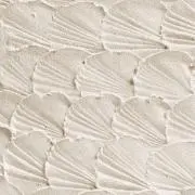 こむぎの画像