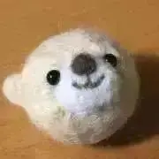 あやめの画像