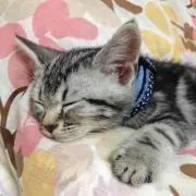 カルっちs’shopプロフ必読下さい。