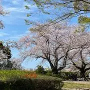 なのの画像