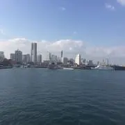 Shihongyl07の画像