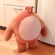 ここあの画像