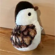 kurosanの画像