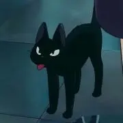 杏の画像