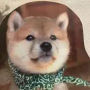 くま93の画像