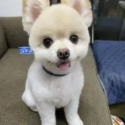 marcoの画像