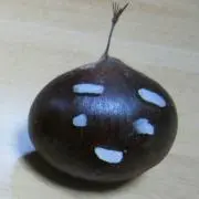 kurimaroの画像