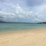 河童の画像
