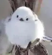 のりたまの画像