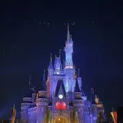 ポムの画像