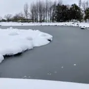 ゆたかの画像