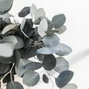kumyの画像