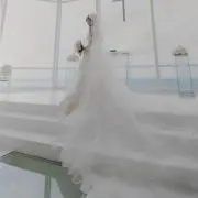 ☆☆☆の画像