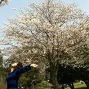 hi→の画像