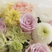 みかん＊の画像