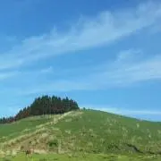 あおいそら