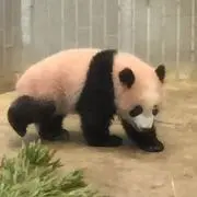 たろえりの画像