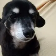 MP ※プロフ必読※ 再開しました