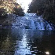ARUの画像